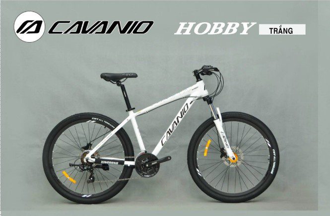 Địa hình/Leo núi nhôm – Cavanio Hobby